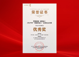 喜讯 | DB真人旗舰 DB数据荣获2024年数据要素x大赛北京分赛优秀奖