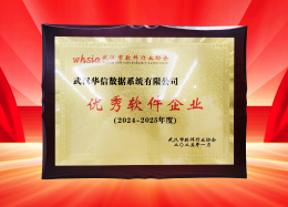 喜讯丨DB真人旗舰 DB数据获评2024~2025年度武汉市软件行业&ldquo;优秀企业&rdquo;、&ldquo;优秀工作者&rdquo;荣誉称号！